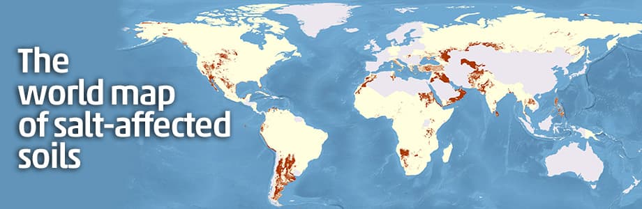 Global Map of Salt-affected Soils (GSASmap)
