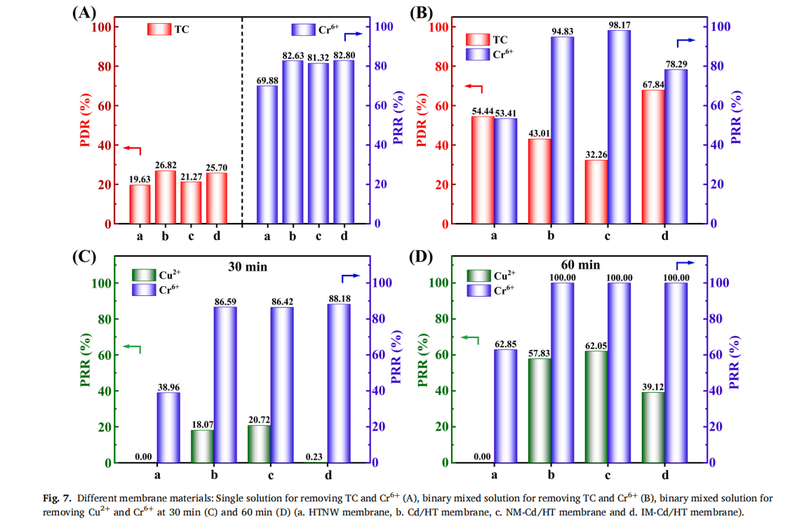 Heterotopic Photocatalytic Membrane for Selective Cr(VI) Reduction and Tetracycline Oxidation